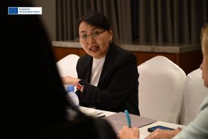 Meeting with Members of the European Parliament on Erasmus+ in Kyrgyzstan