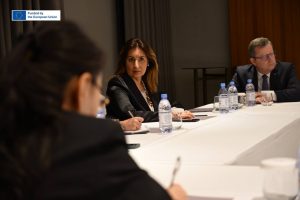 Meeting with Members of the European Parliament on Erasmus+ in Kyrgyzstan