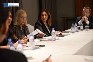 Meeting with Members of the European Parliament on Erasmus+ in Kyrgyzstan