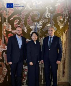 Meeting of the Deputy Minister of Science, Higher Education and Innovation of the Kyrgyz Republic with the Head of the Secretariat of the European Higher Education Area