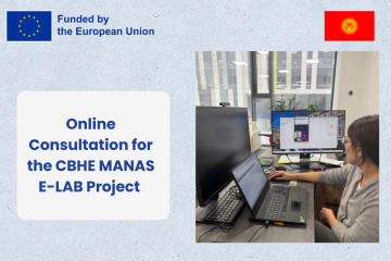 Online Consultation for the CBHE MANAS E-LAB Project
